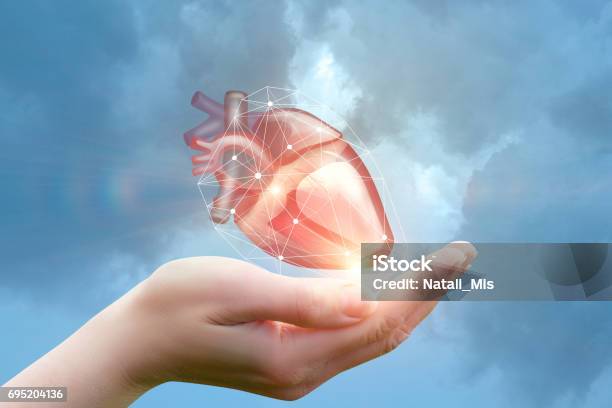 Arm Supports The Heart Stock Photo - Download Image Now - Heart - Internal Organ, Wellbeing, Abstract