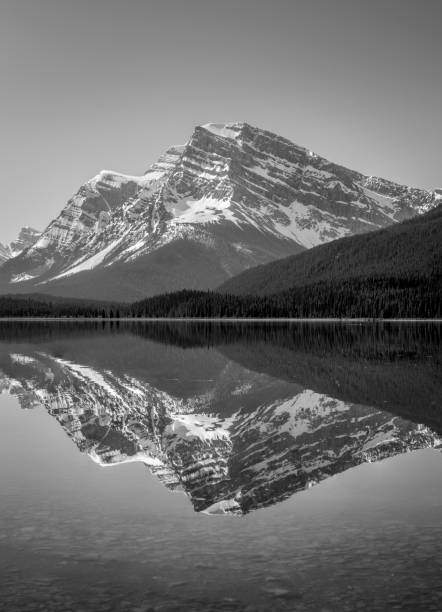 горные размышления в национальном парке о сверхфаухон озера банф - bow lake стоковые фото и изображения