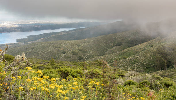 Fog Rolling In On Crystal Springs Reservoir