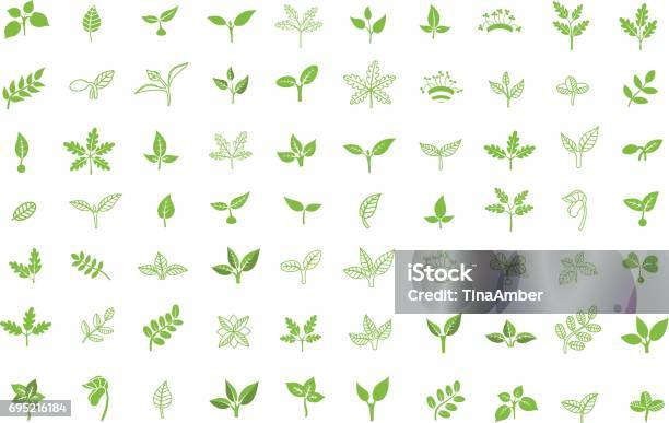 Set Of Leaves Design Elements Sprout New Life Vector Icon Stock Illustration - Download Image Now