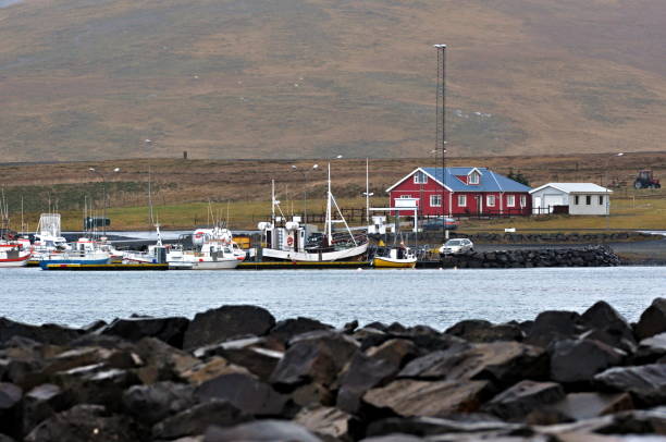 istock Icelandic boats 695219102