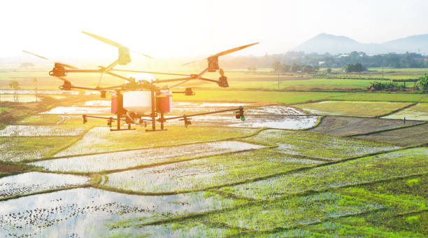 uav, agricultura drone tecnologia, agricultura de precisão, o conceito de culturas de agrimensura. drone spray inseticida em arroz arquivado com efeito de luz de sinalização. - agricultural equipment flash - fotografias e filmes do acervo