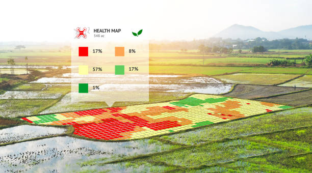 Smart agriculture , farm , precision farming concept. NIR images application screen used to create field health maps using the normalize difference vegetation percent index in field rice. agricultura inteligente, granja, concepto de agricultura de precisión. nir las imágenes pantalla de la aplicación usada para crear mapas de salud de campo utilizando el índice porcentual de normalizar diferencia vegetación en arroz de campo.
