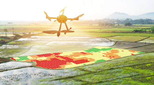 istock Smart agriculture , farm , precision farming concept. Drone and NIR images application screen used to create field health maps for normalize difference vegetation index in field rice with flare light. 695221418