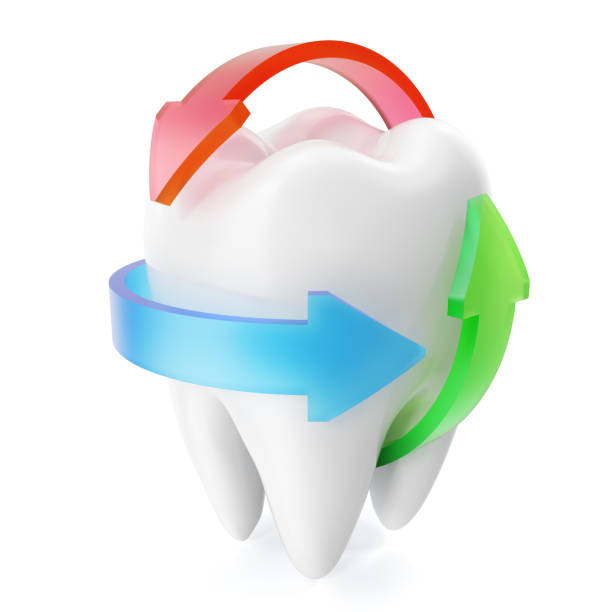 istock Clean and glossy realistic tooth protection isolated on white background, Protection concept. 3D rendering 695237186
