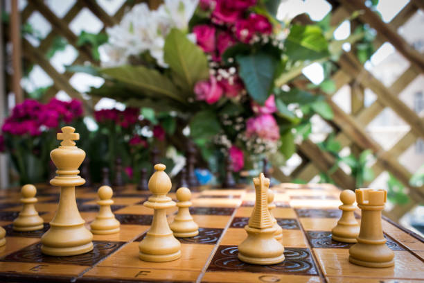 istock Chess photographed on a chessboard 695240012
