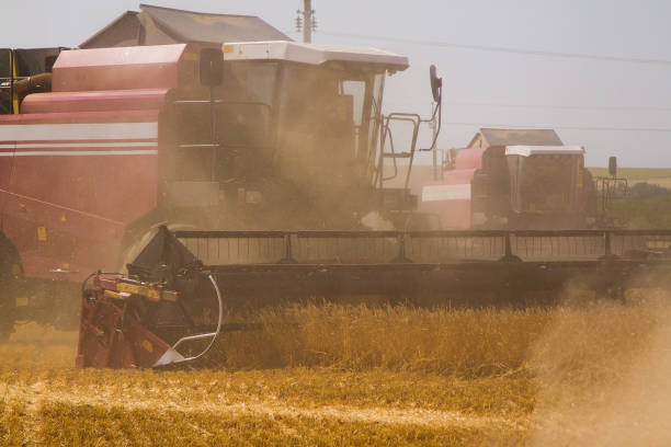 istock Combine harvesters in a field of wheat 695256278