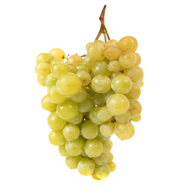 istock Bunch of red grapes 695263954