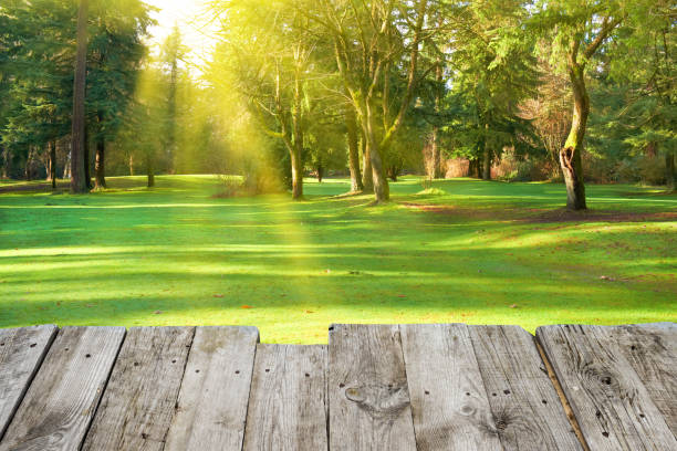 istock View from wooden surface to green park 695264012