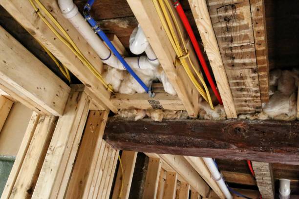 istock Gutted 1900s Home Construction Renovation Exposed Ceiling Beams Wires Insulation 695264494