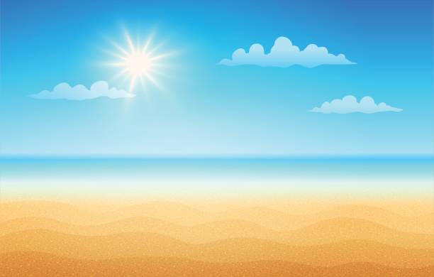 Tropical beach in sunny day. Vector illustration of a empty tropical beach in summer day. Tropical beach in sunny day. sunny day stock illustrations