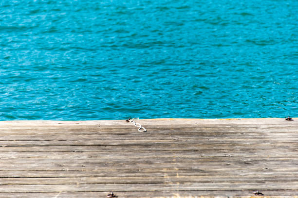 Adult man fishing on the stones by the sea coast.