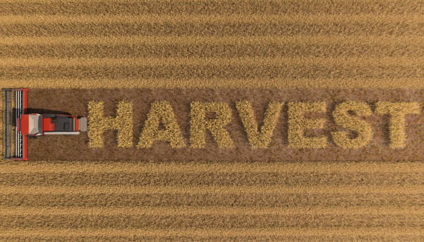 Harvest and Harvest Machinery