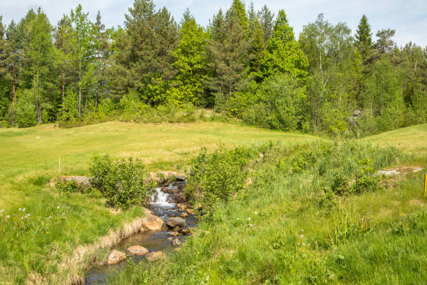 istock Landscape with a small waterfall on a golf course with green grass, forest, trees 695279088