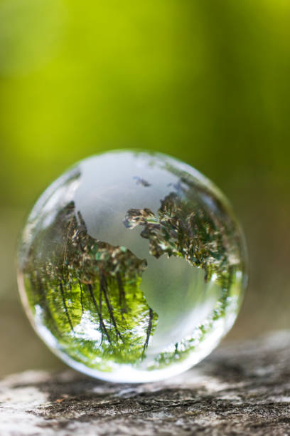 istock Earth on Tree Stump in the Forest 695279290