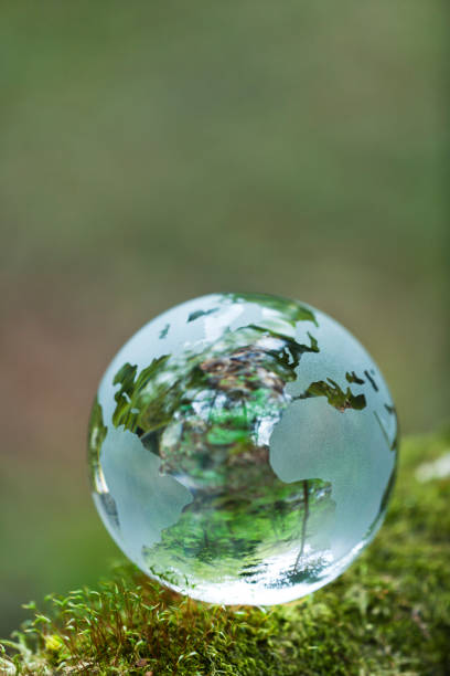 istock Earth on Mossy Rock in the Forest 695279296