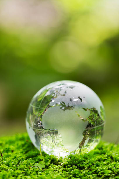 istock Earth on Mossy Rock in the Forest 695279298