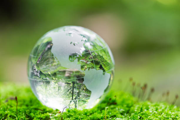 istock Earth on Mossy Rock in the Forest 695279300