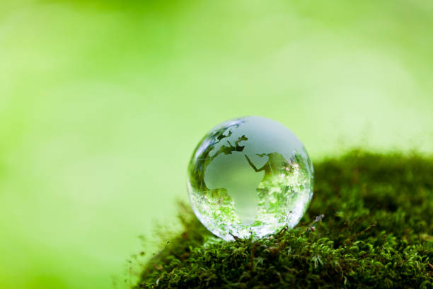 istock Earth on Mossy Rock in the Forest 695279308