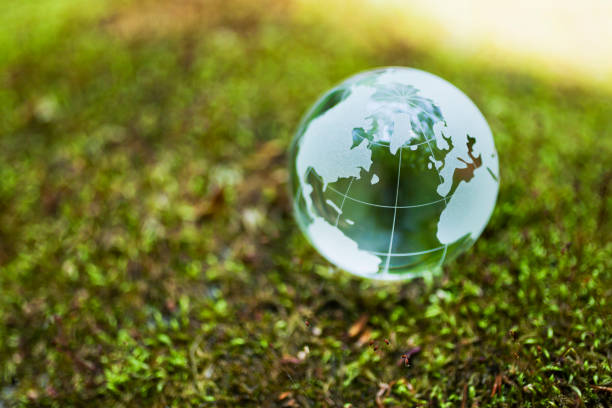 istock Earth on Mossy Rock in the Forest 695279318