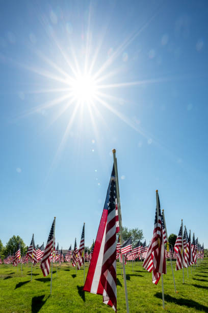 istock Park filled with American flags with a huge sun star 695282000