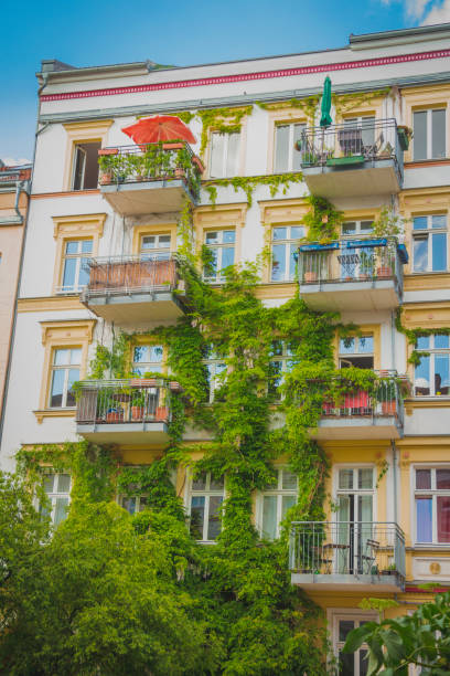 istock Apartment building covered with green Ivy plant 695282042