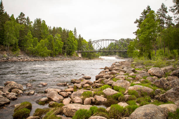 istock river stream in rocky environment in the forest with a bridge in the background 695284758