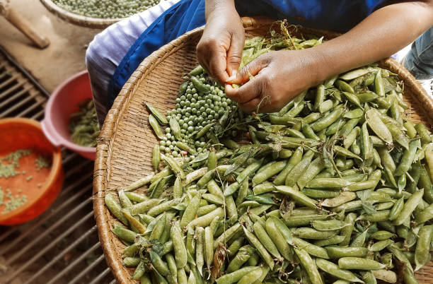 istock African woman hands peeling peas 695290990