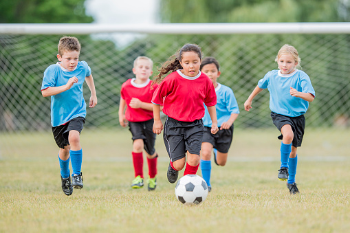 A multi-ethnic group of elementary age children are playing soccer. They are running, kicking a soccer ball, and wearing blue and red jerseys. There is a goal post in the background.