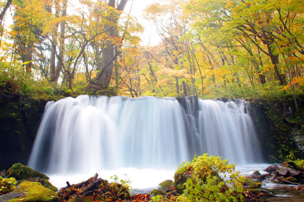 istock Oirase Stream and Choshi Falls 695305660