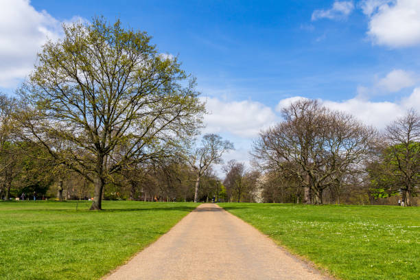 istock Pathway in the sunny Green Park 695307910