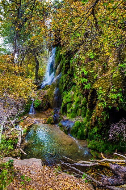 Lake Creek is a peaceful spot where the rushing waters contrast with the surrounding tranquility of the forest.  This unnamed waterfall cascades through the serene wilderness along the Phelps Lake Trail in Grand Teton National Park near Jackson, Wyoming, USA.
