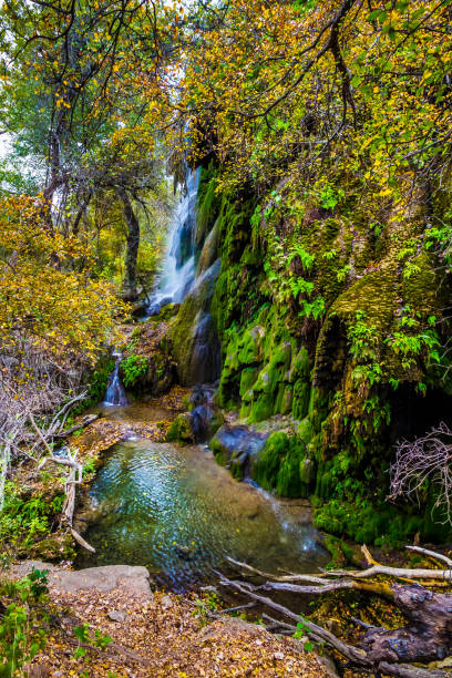 Picturesque Gorman Falls Surrounded by Bright Fall Foliage and Green Moss, Texas stock photo