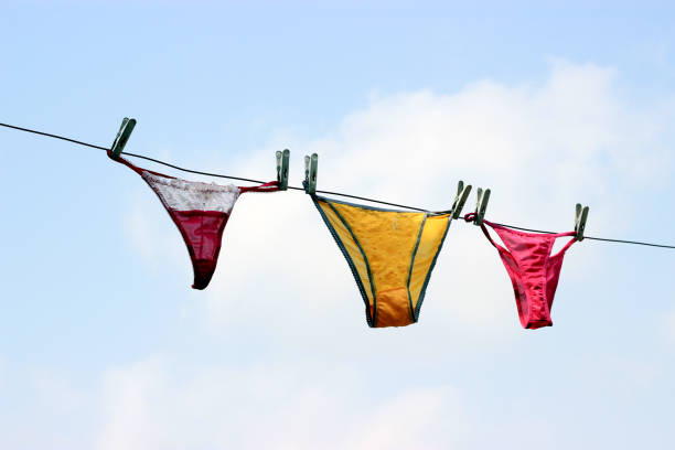 istock Colorful sexy lingerie. 695319774