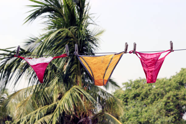 istock Colorful sexy lingerie. 695319780