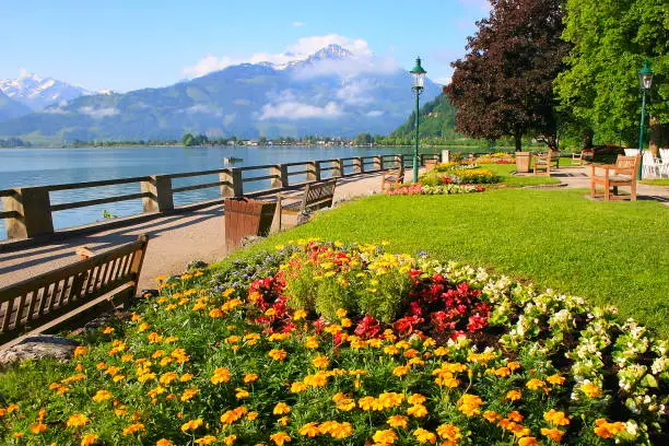 Public park at springtime, garden flowerbed in Zell am See, valley and Mountain range landscape, Tirol landscape in Austrian Salzburger land, Austria