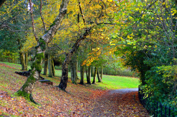 istock Kelvingrove Park - Glasgow, Scotland 695331964