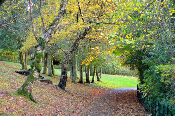 istock Kelvingrove Park - Glasgow, Scotland 695331982