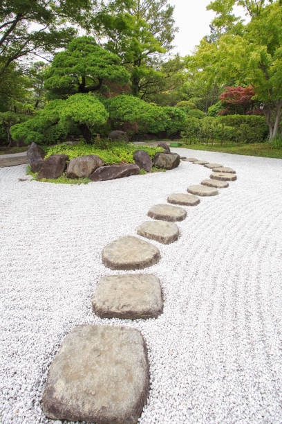 zen kamienna ścieżka w japońskim zielonym ogrodzie - patio stone footpath formal garden zdjęcia i obrazy z banku zdjęć