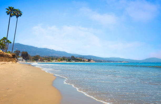 istock Santa Barbara beach with palm trees. 695341294