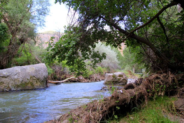 istock The view on the mountain river with the trees. 695344436