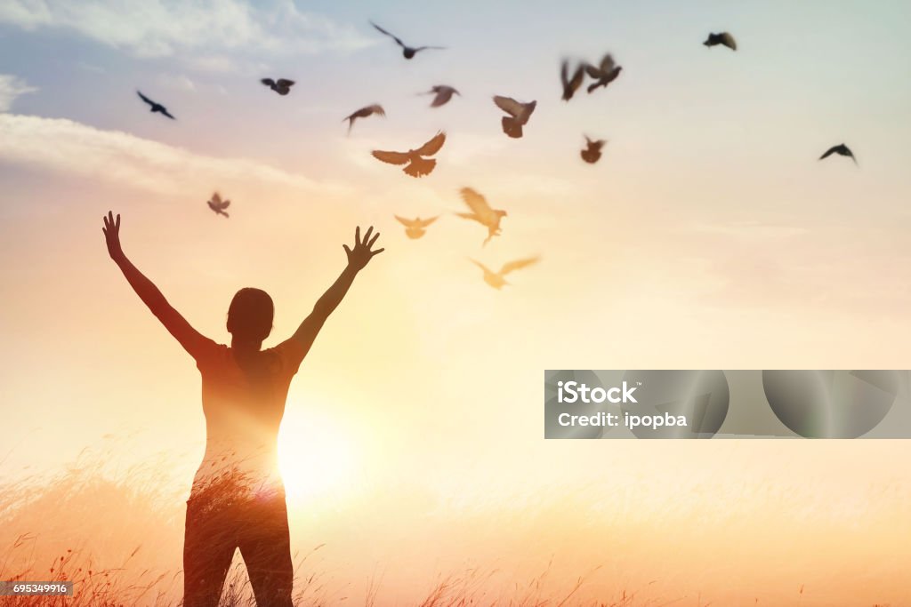 Woman praying and free bird enjoying nature on sunset background, hope concept Freedom Stock Photo
