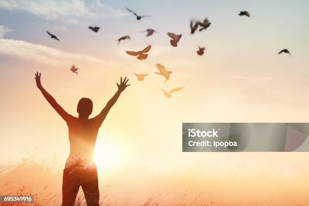 Woman Praying And Free Bird Enjoying Nature On Sunset Background Hope Concept Stock Photo - Download Image Now