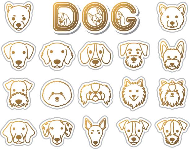 DOG / icon Illustration icon weimaraner dog animal domestic animals stock illustrations