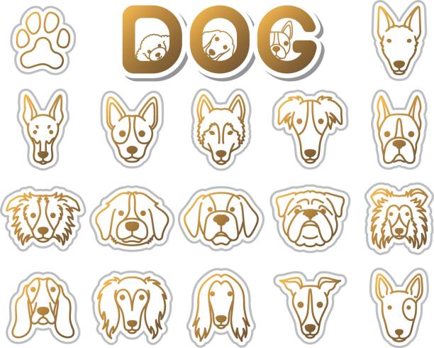 DOG / icon Illustration icon saluki stock illustrations