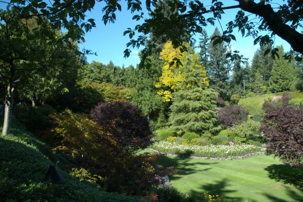 istock Summer Garden, Vancouver. 695350652