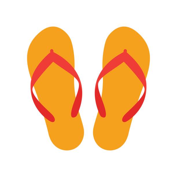 Pantuflas Vectores Libres de Derechos - iStock Pantuflas Vectores Libres de Derechos - iStock