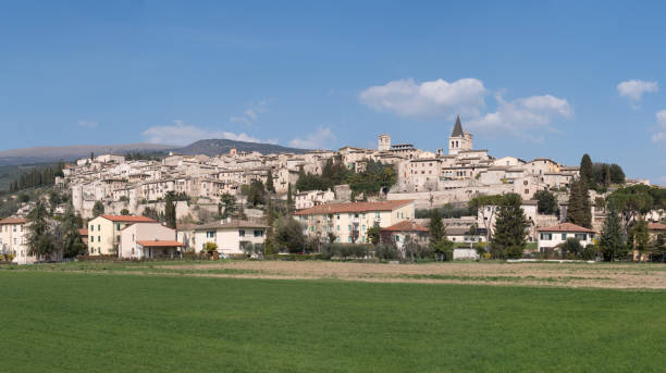 istock Italy, Panorama of Spello 695357000