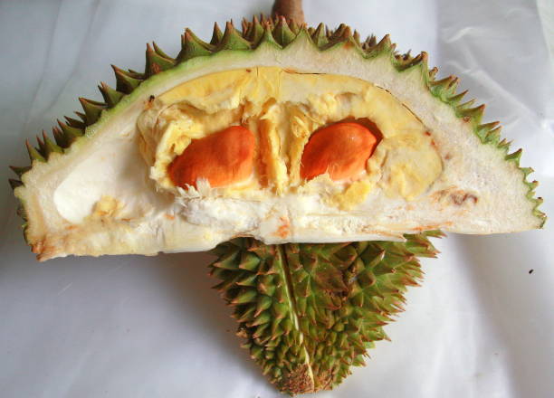 istock Durian Thailand fruits 695367406