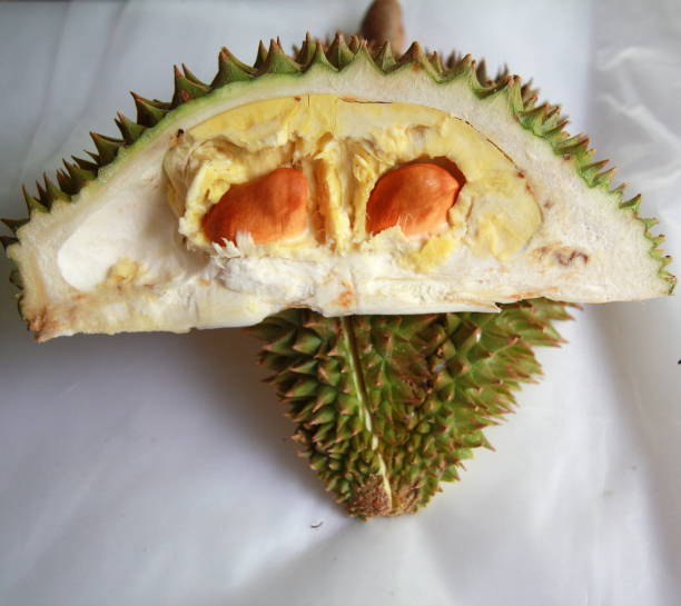istock Durian Thailand fruits 695367456